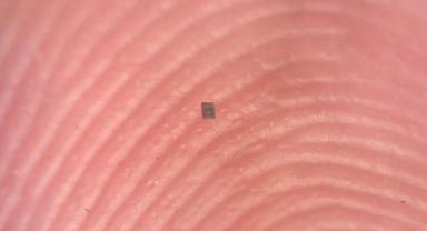 Kum Tanesinden Küçük, İşlemcisi İçinde: Dünyanın İlk Mikrorobotu Geliştirildi!