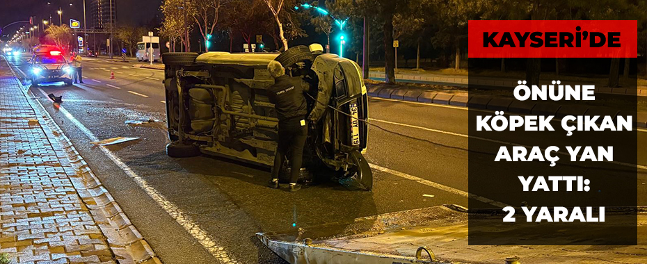 Önüne köpek çıkan araç yan yattı: 2 yaralı