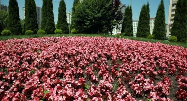 Talas 2026’da rengarenk olacak