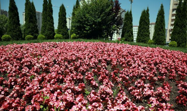 Talas 2026’da rengarenk olacak