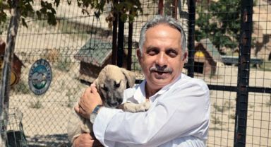 Talas Patievi Doğal Yaşam Alanı 500 can için seçkin bir yuva