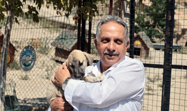 Talas Patievi Doğal Yaşam Alanı 500 can için seçkin bir yuva