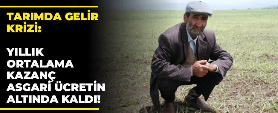 Tarımda Gelir Krizi: Yıllık Ortalama Kazanç Asgari Ücretin Altında Kaldı!