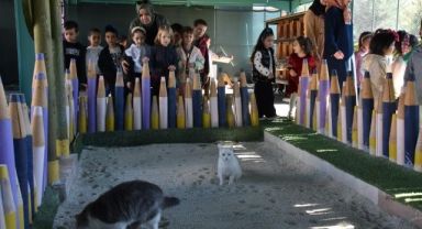 Türkiye’de ilk olan 'Küçük Dostlar Ambulansı' ile 10 bin 280 can kurtarıldı