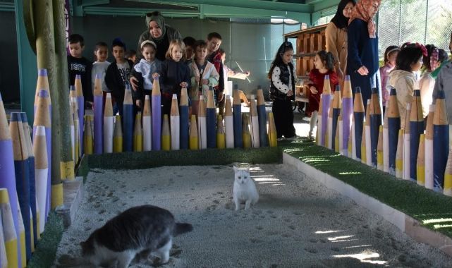 Türkiye’de ilk olan 'Küçük Dostlar Ambulansı' ile 10 bin 280 can kurtarıldı