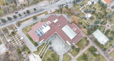 Ulu çınarların yuvası yenileniyor