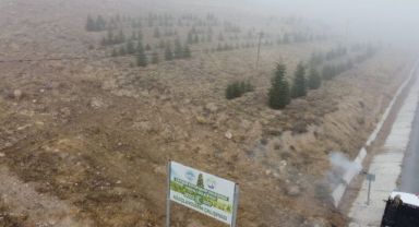 Yahyalı'ya bin 200 fidan dikildi