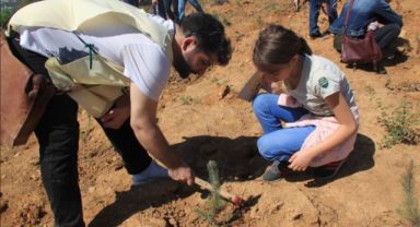 ÇEKÜL’den 2025’te Yeşil Atak: 116 Bin Yeni Fidan Toprakla Buluştu!