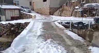 Develi'de mahalleli köprüye korkuluk istiyor