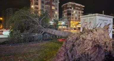Kayseri'de kuvvetli rüzgar: Ağaç otomobilin üzerine devrildi