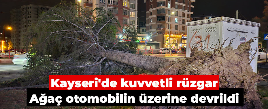 Kayseri'de kuvvetli rüzgar: Ağaç otomobilin üzerine devrildi