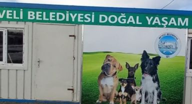 Türkiye’nin Dört Bir Yanından Develi’ye Akın: Hayvanseverler 