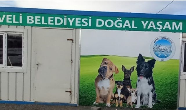 Türkiye’nin Dört Bir Yanından Develi’ye Akın: Hayvanseverler 