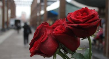 14 Şubat öncesi çiçekçilerde hazırlıklar tamamlandı