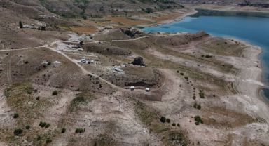 7,7 milyon yıllık tarihe ışık tutan Taşhan'da daha sonraki dönemlerde yaşayan türlerin fosilleri bulundu