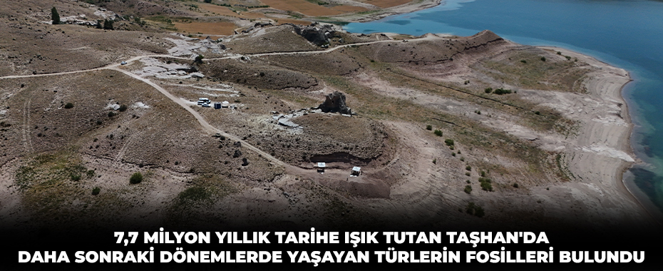 7,7 milyon yıllık tarihe ışık tutan Taşhan'da daha sonraki dönemlerde yaşayan türlerin fosilleri bulundu