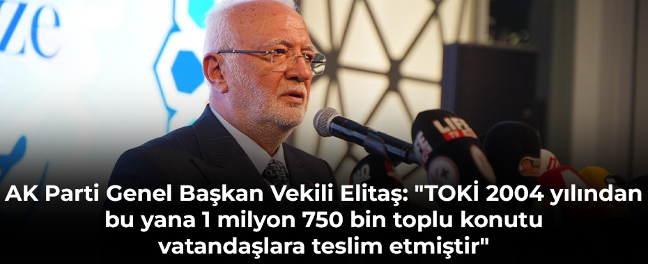 AK Parti Genel Başkan Vekili Elitaş: