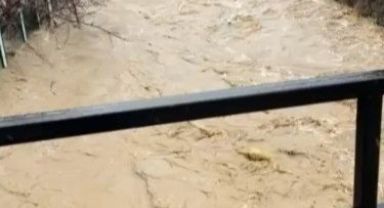 Develi'de aşırı yağış sele neden oldu, bazı ev ve ahırları su bastı