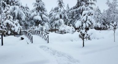 Hacılar Belediyesi ekipleri karla mücadele için sahada
