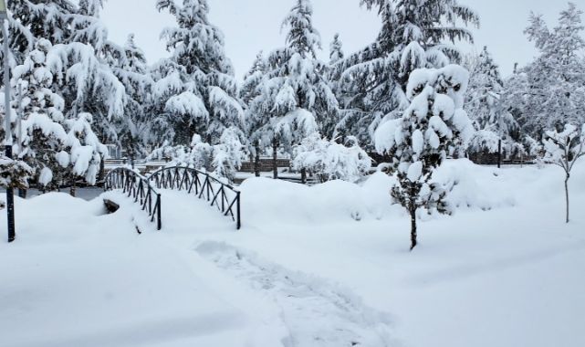 Hacılar Belediyesi ekipleri karla mücadele için sahada