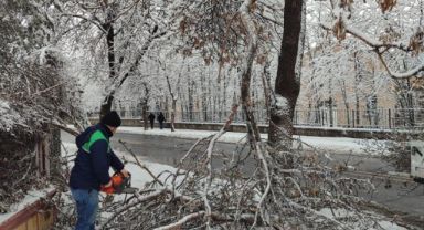 Kayseri Büyükşehir'den kış çalışmalarında ağaç güvenliği seferberliği