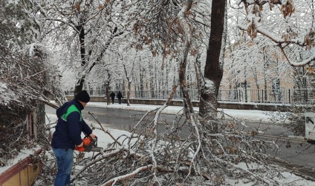 Kayseri Büyükşehir'den kış çalışmalarında ağaç güvenliği seferberliği
