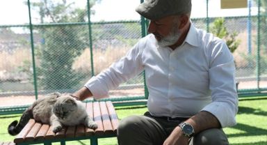 Kayseri'de ilk ve tek küçük dostları Kedi Kasabası, ziyaretçi rekoru kırıyor