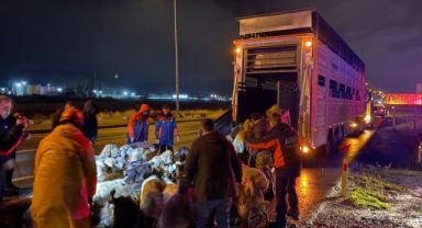 Kayseri’de taşkın riski: 200 hayvan tahliye edildi