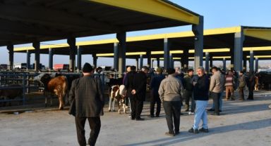 KTB Başkanı Bağlamış: Kayseri'yi hayvancılıkta merkez haline getirmek için çalışıyoruz 