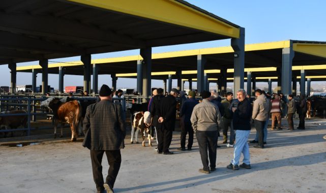 KTB Başkanı Bağlamış: Kayseri'yi hayvancılıkta merkez haline getirmek için çalışıyoruz 