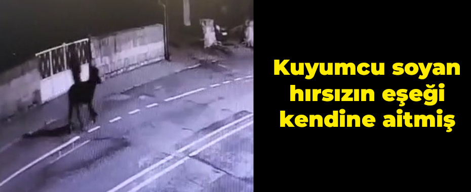 Kuyumcu soyan hırsızın eşeği kendine aitmiş