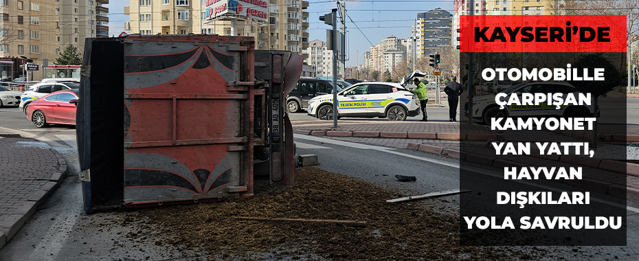 Otomobille çarpışan kamyonet yan yattı, hayvan dışkıları yola savruldu