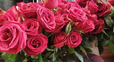 Sevgililer Günü'nde trend kırmızı gül