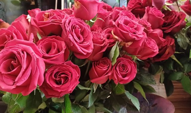 Sevgililer Günü'nde trend kırmızı gül