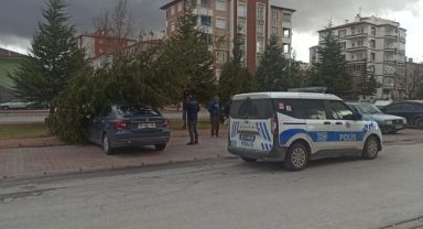 Şiddetli rüzgarın devirdiği ağaç otomobilin üzerine düştü