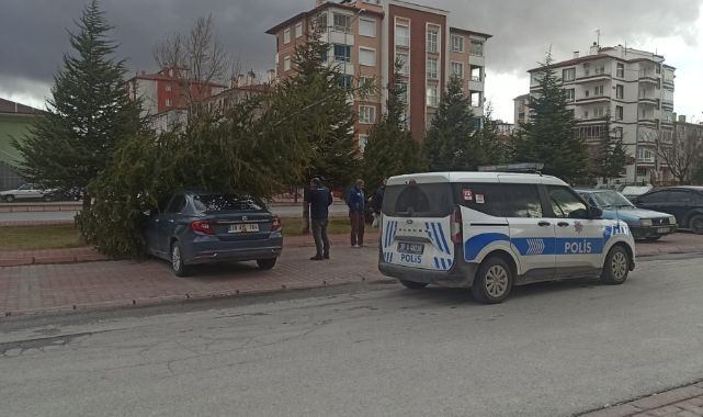 Şiddetli rüzgarın devirdiği ağaç otomobilin üzerine düştü