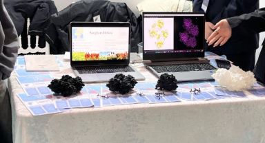 Sorgum bitkisinden kansere yönelik ilaç tasarımı