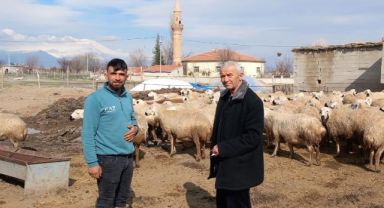 Yenihayat’ta Bereketin Sesi: Koyun ve Kuzuların Buluşma Anı Görülmeye Değer!