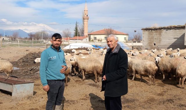 Yenihayat’ta Bereketin Sesi: Koyun ve Kuzuların Buluşma Anı Görülmeye Değer!