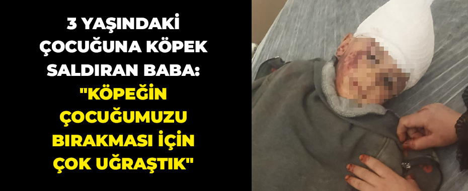 3 yaşındaki çocuğuna köpek saldıran baba: