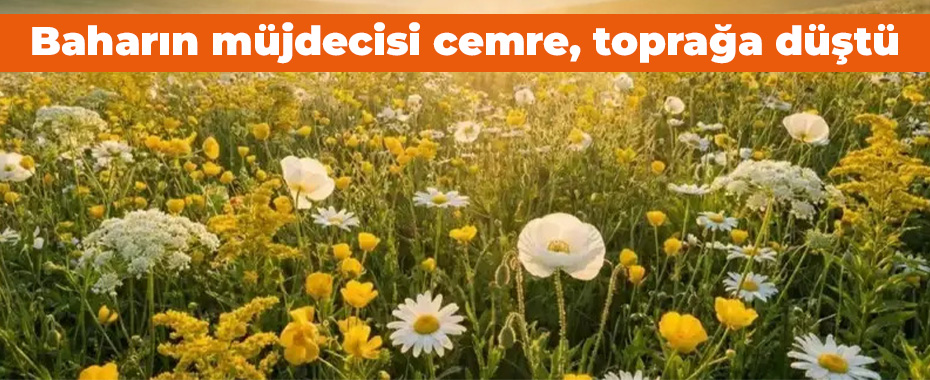 Baharın müjdecisi cemre, toprağa düştü