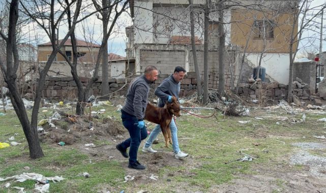 Başıboş köpeğin saldırdığı 3 yaşındaki çocuk ağır yaralandı