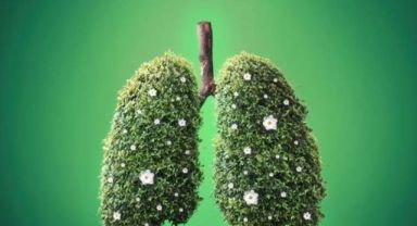 Bir Asırlık Mücadele: Hilal-i Ahdar’dan Yeşilay’a Bağımsızlık Ruhu!