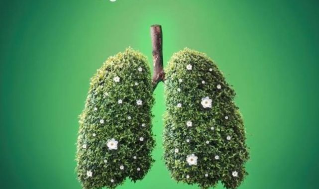 Bir Asırlık Mücadele: Hilal-i Ahdar’dan Yeşilay’a Bağımsızlık Ruhu!