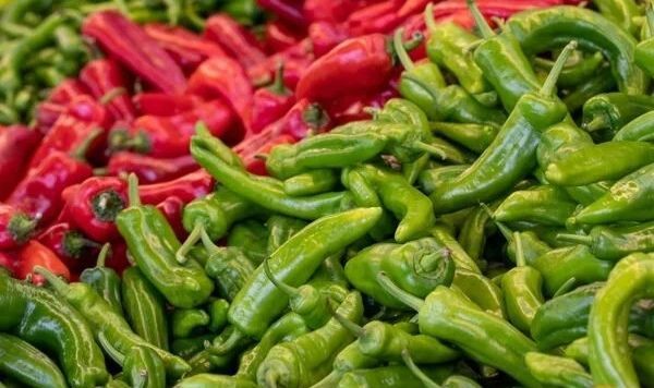 Halden Markete %280 Fahiş Kâr: Ticaret Bakanlığı’ndan Biber Operasyonu