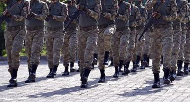 Jandarma domuz avlayacak... Ovaya inen işgalci türlere operasyon