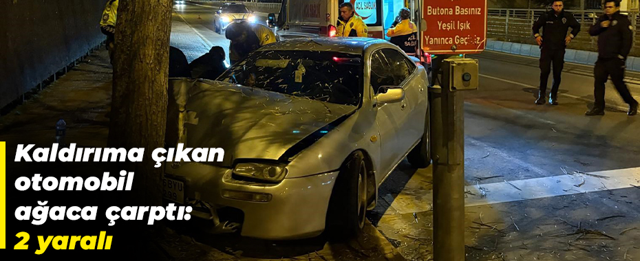 Kaldırıma çıkan otomobil ağaca çarptı: 2 yaralı