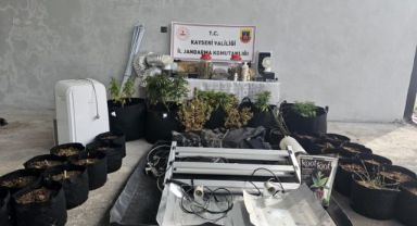Kayseri’de evinde uyuşturucu yetiştiren şüpheli gözaltına alındı