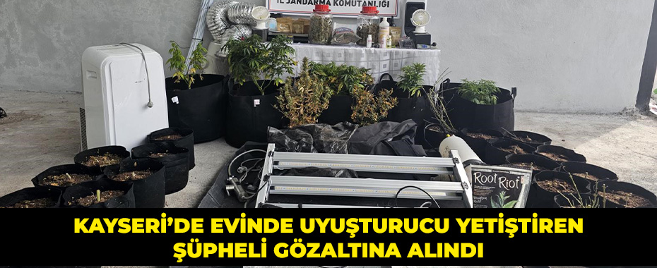 Kayseri’de evinde uyuşturucu yetiştiren şüpheli gözaltına alındı