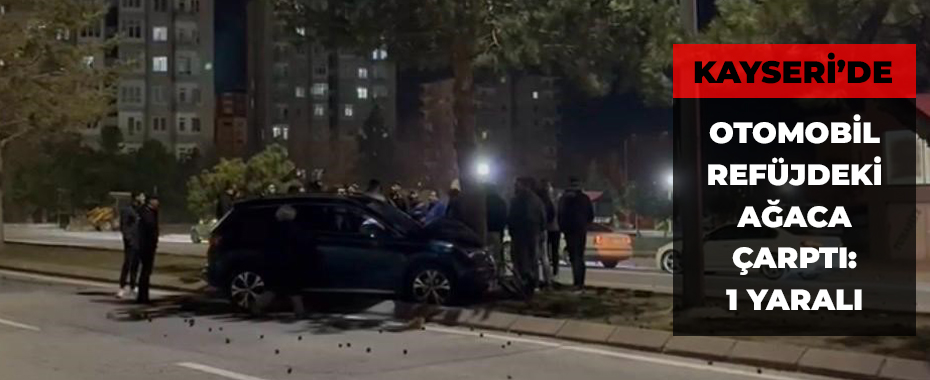 Otomobil refüjdeki ağaca çarptı: 1 yaralı